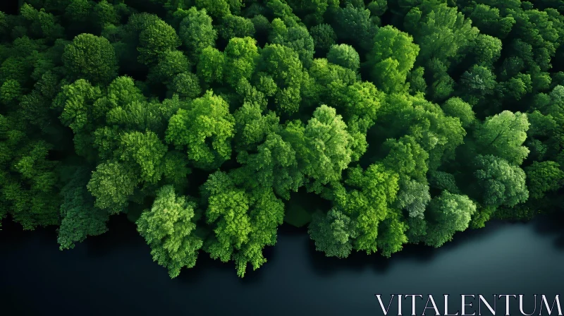 AI ART Aerial Green Forest with Vibrant Trees and Lake