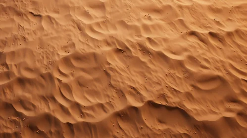Ethereal Sand Dune Texture - High Angle Capture
