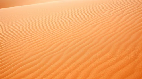 Desert Sand Dune Landscape