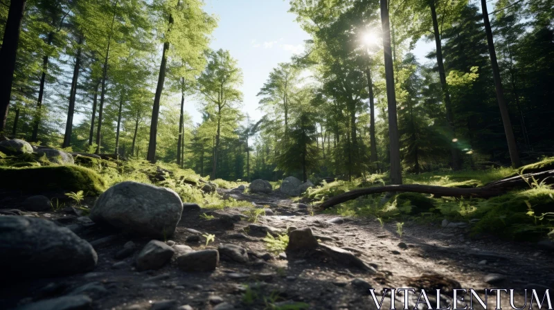 Enchanting Forest Landscape with Sunlight and Greenery AI Image