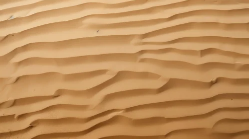 Fine Light Brown Sand Dune Texture