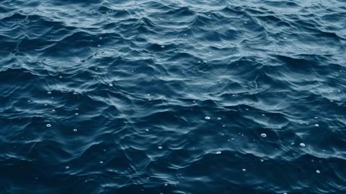 Tranquil Open Sea | Waves and Sunlight