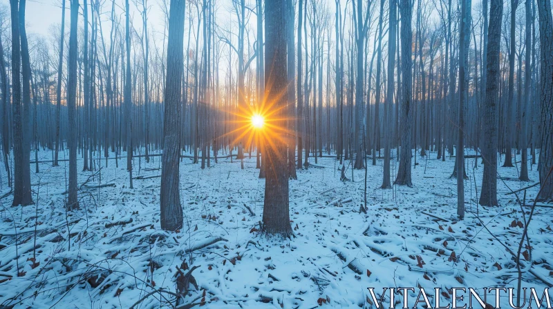 AI ART Winter Forest Scene - Peaceful Nature Photography