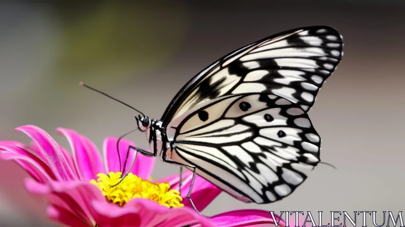AI ART Close-Up Butterfly on Pink Flower - Nature Photography
