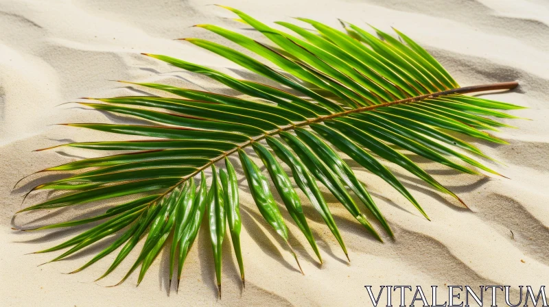 Green Palm Leaf on Sand Texture AI Image