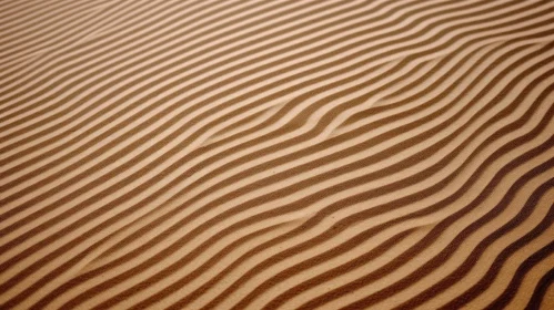 Tranquil Sand Dune Pattern in Desert