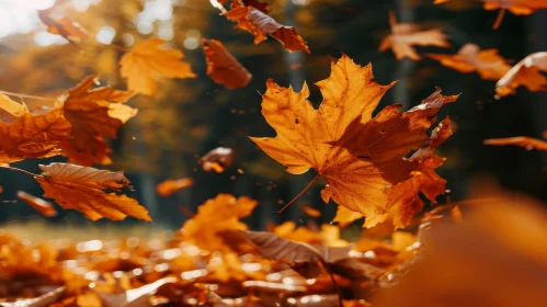 Autumn Leaves Close-up: Nostalgic Forest Scene