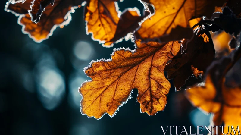 Enchanting Autumn Leaf Close-Up AI Image