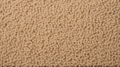 Plush Beige Carpet Texture Close-Up