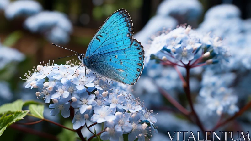 AI ART Blue Butterfly on White Flowers - Nature Close-up