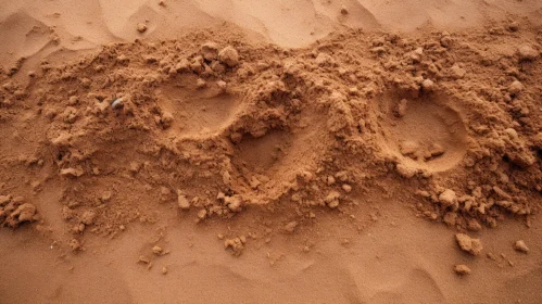 Tranquil Footprints in Sand
