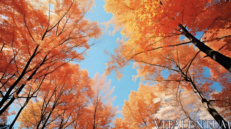 AI ART Autumn Trees Against Blue Sky - Nature Photography