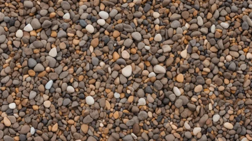 Pebble Beach Texture Close-Up