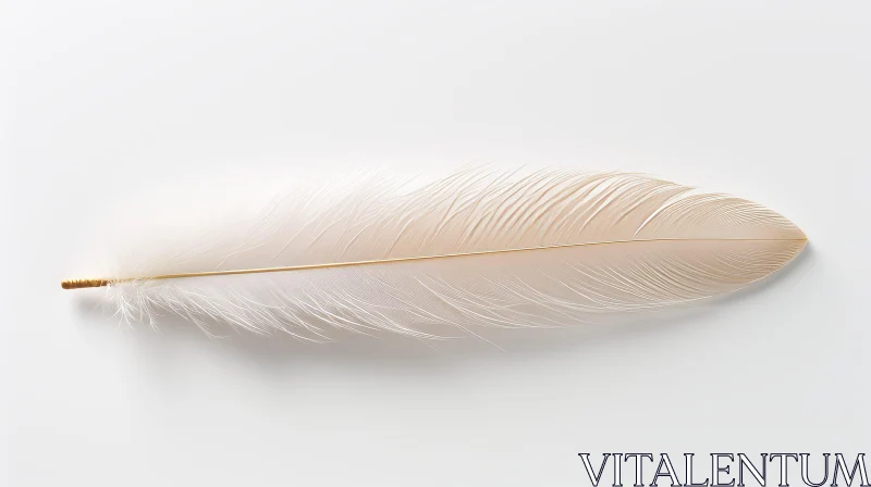 AI ART Elegant Ostrich Feather - White and Gold