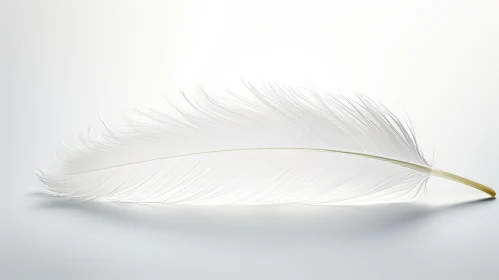 White Feather Symbolism in Art