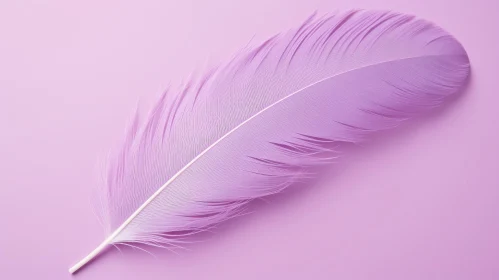 Soft Purple Feather on Background
