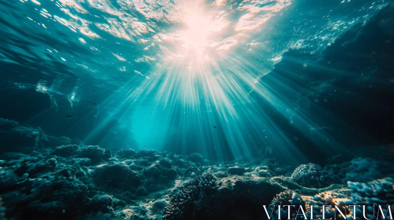 Sunrays Illuminating Underwater Marine Life AI Image