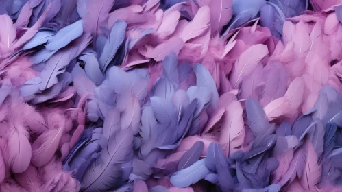 Purple and Blue Feathers Close-Up