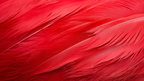 Detailed Flamingo Feather Texture