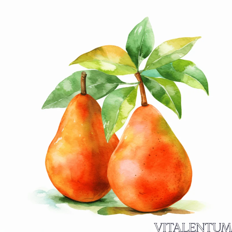 Watercolor Illustration of Two Pears on White Background AI Image