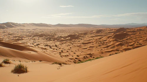 Sahara Desert Sand Dunes in Africa