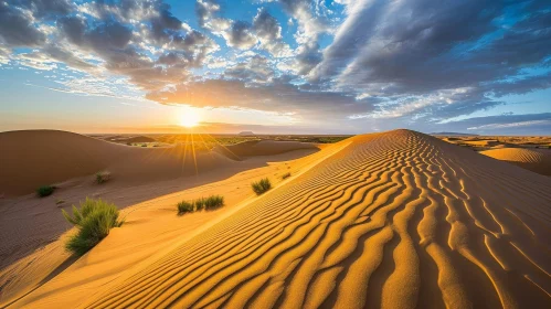 Sahara Desert Sand Dunes at Sunset