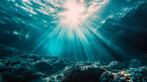 Sunrays Illuminating Underwater Marine Life