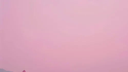 Pink Gradient Background - Smooth Transition