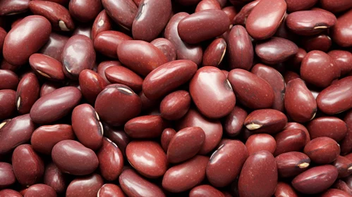 Dark Red Kidney Beans - Organic and Healthy Food