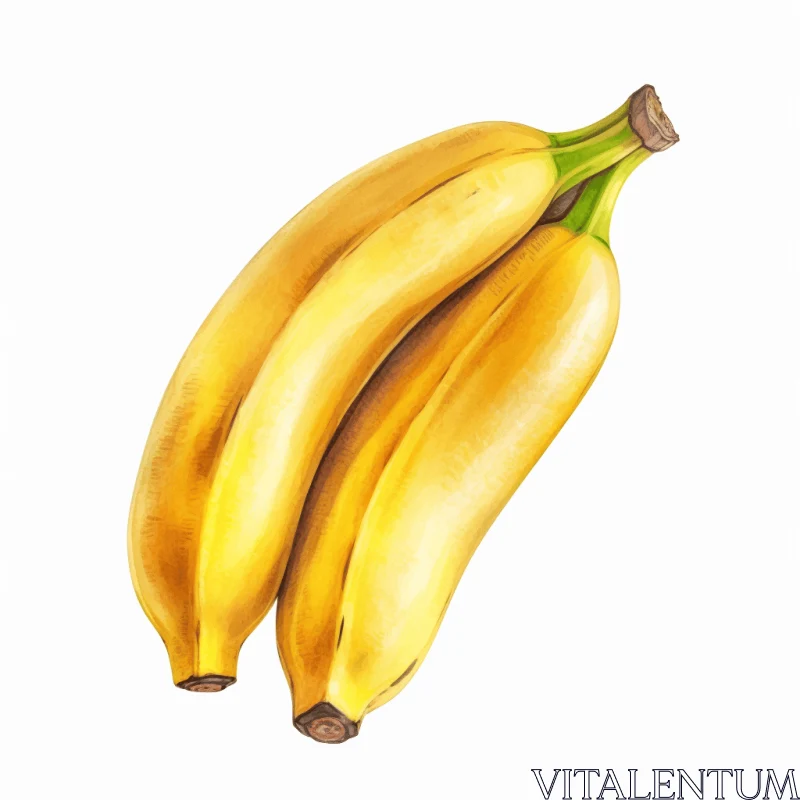 Realistic Watercolor Paintings of Bananas | Classical Proportions AI Image