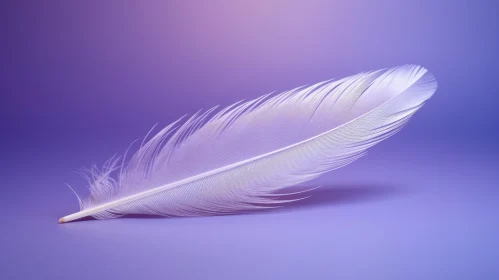 White Feather on Purple Background - Delicate Beauty and Contrast