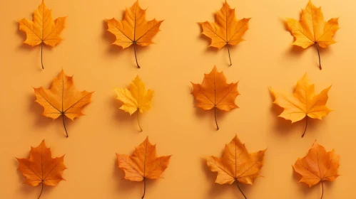 Maple Leaves on Orange Background - Close-up Abstract Composition