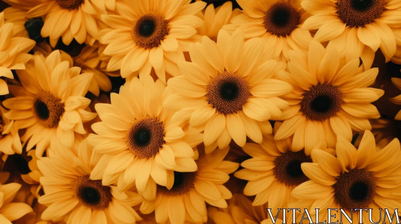 AI ART Sunflower Field Bloom Spiral Close-up View