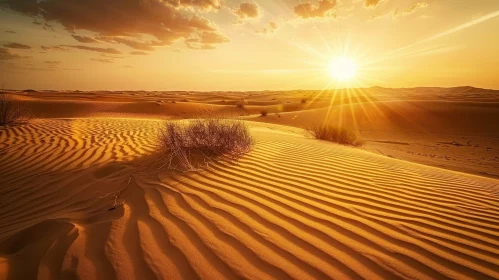 Golden Sand Dunes Desert Sunset