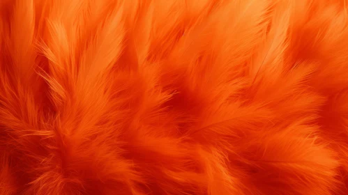 Orange Fluffy Feathers Background