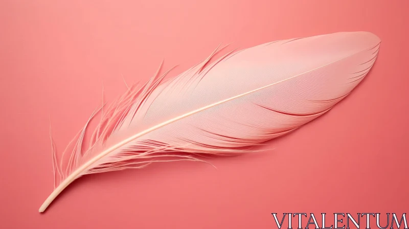 AI ART Pink Feather on Pink Background
