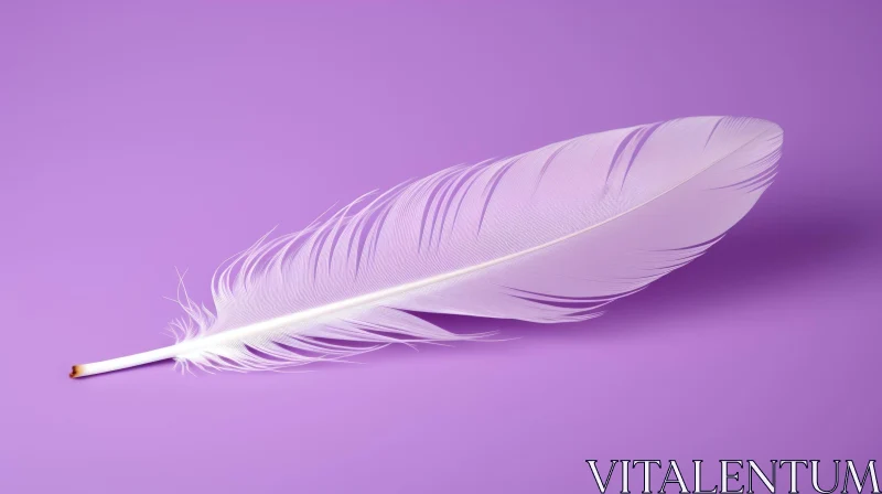 White Feather on Purple Background AI Image