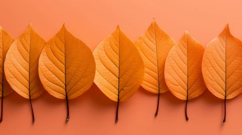 Autumn Leaves Close-Up - Textured Orange Background