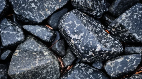 Shiny Wet Black Rocks Close-Up