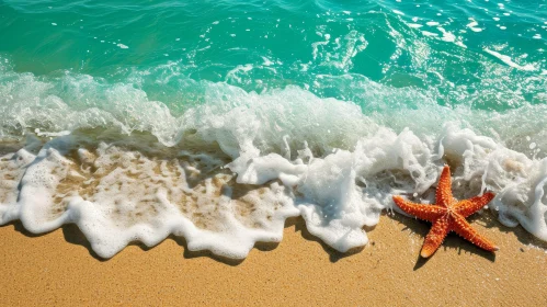 Orange Starfish on Sandy Beach
