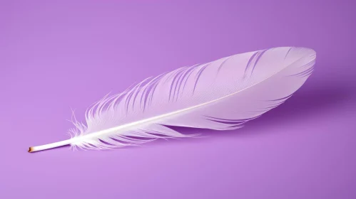White Feather on Purple Background