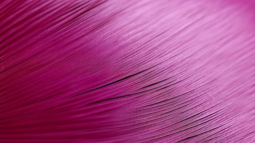 Pink Paper Stack Texture Close-Up