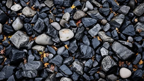Close-Up Wet River Rocks Texture