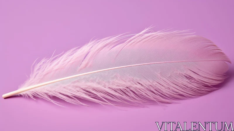 Pink Feather on Pink Background - Beauty and Simplicity AI Image