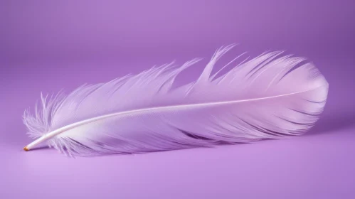 White Feather on Purple Background - Stock Photo