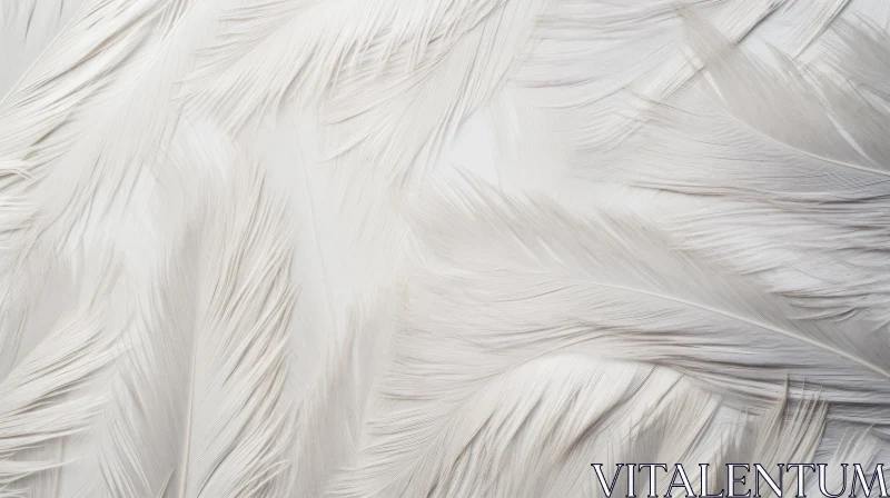 AI ART Soft White Feathers - Natural Background