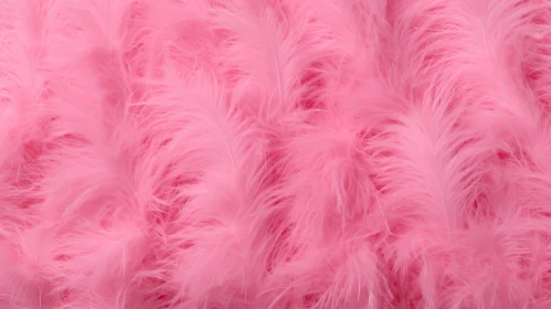 Pink Feathers Texture Background