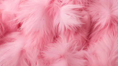 Pink Feathers Close-Up | Delicate and Bright Image
