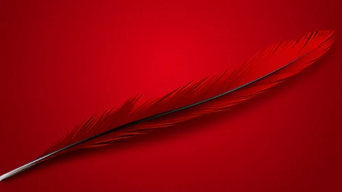 Bright Red Feather on Red Background
