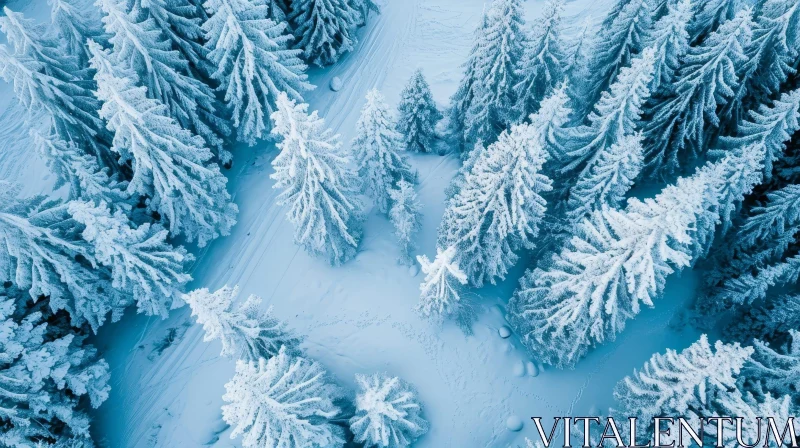 Snow-Covered Forest Aerial View AI Image